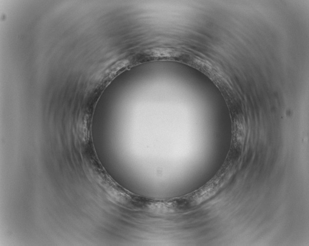 X0000087370422200705041925