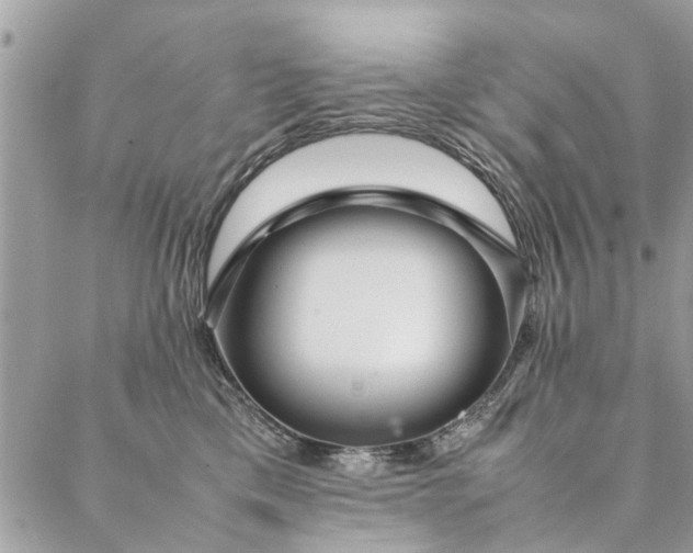 X0000087370425200705041925