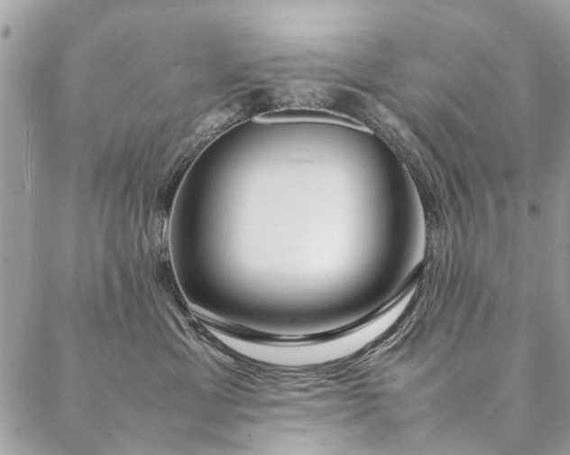 X0000087370429200705041925