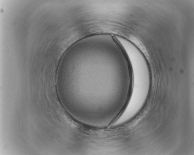 X0000087370481200705041924