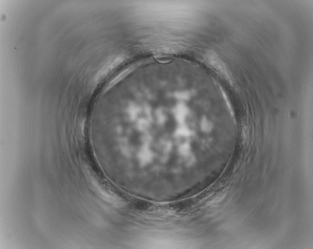 X0000087370491200705041924
