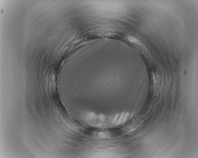 X0000087370506200705041924