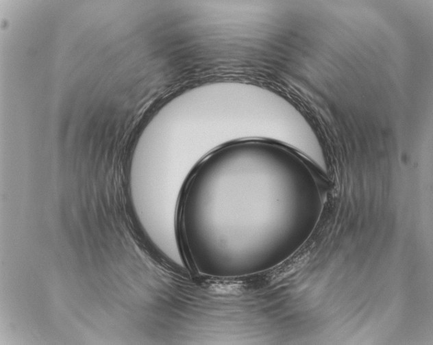 X0000087370560200705041923
