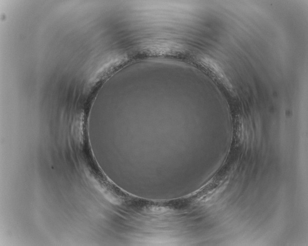 X0000087370590200705041922