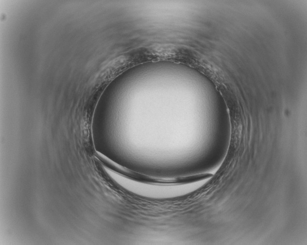 X0000087370609200705041922