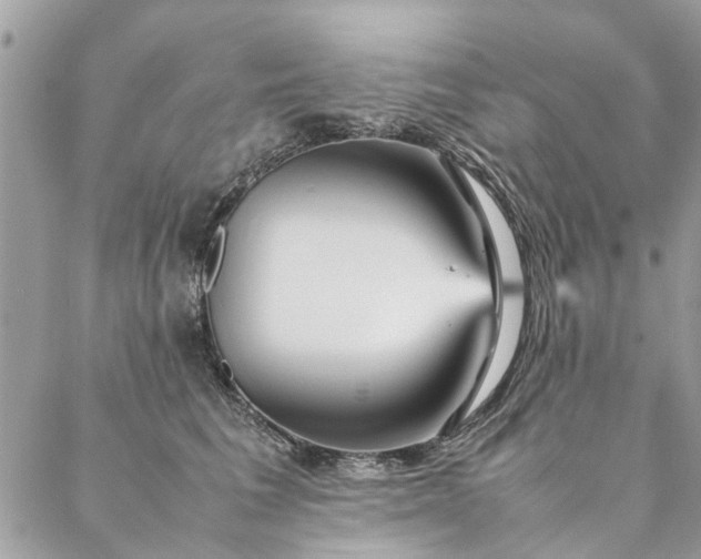 X0000087370613200705041922