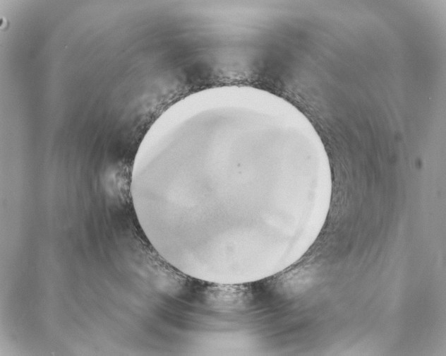 X0000087370672200705041922