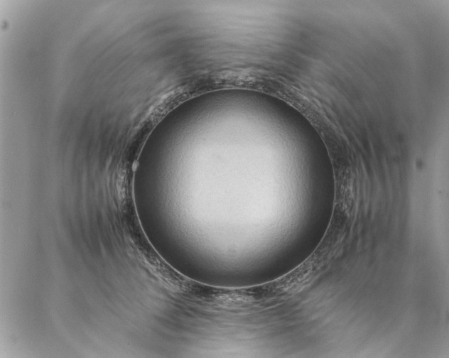 X0000087370708200705041920