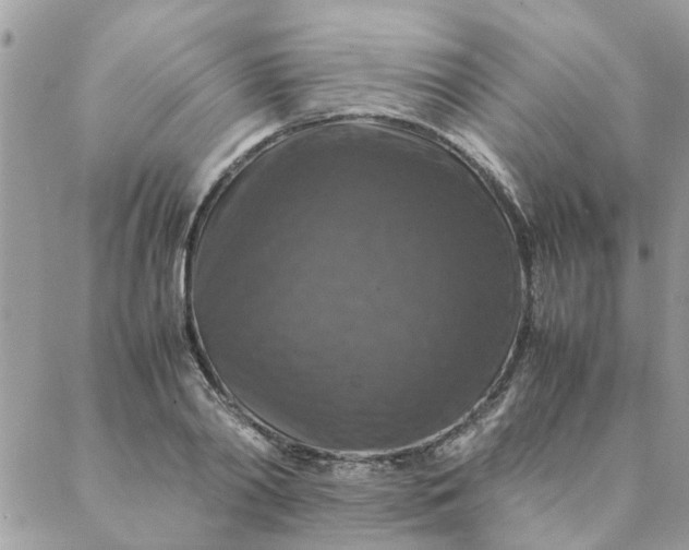 X0000087370790200705041919