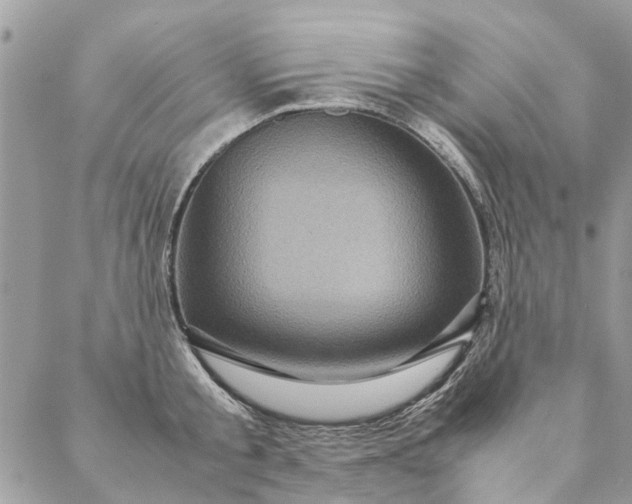 X0000087370805200705041919