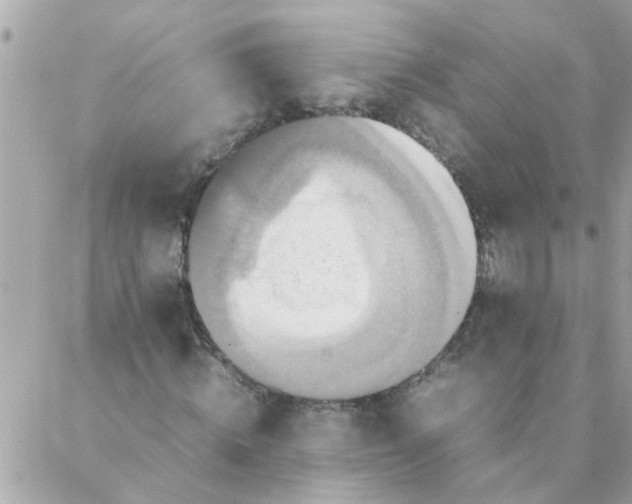 X0000087370820200705041918