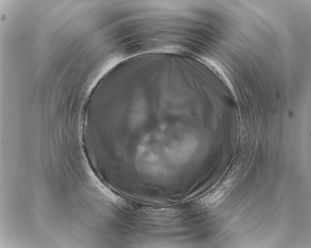 X0000087370851200705041918