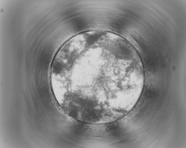 X0000087370856200705041918