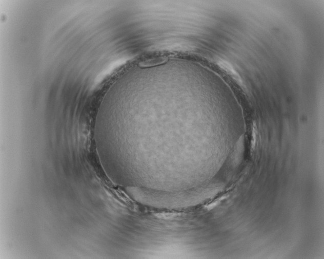 X0000087370872200705041918