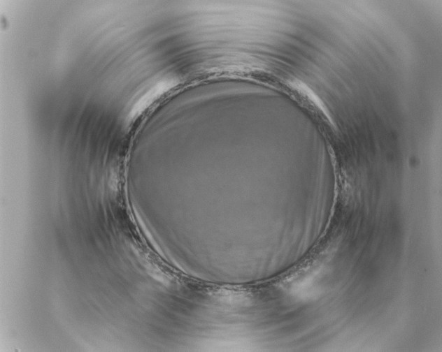 X0000087370874200705041918