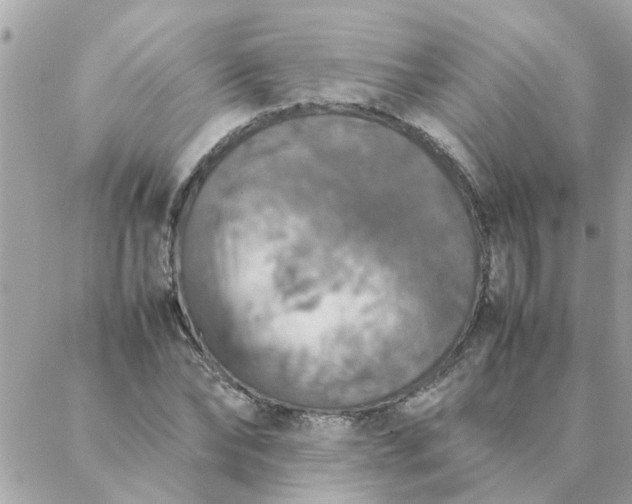 X0000087370878200705041917