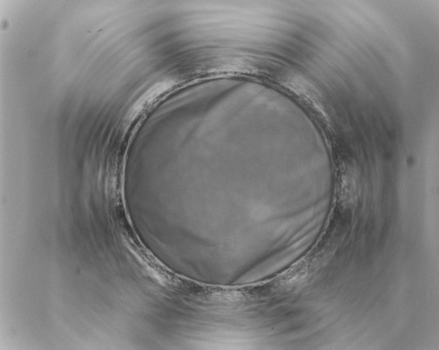 X0000087370882200705041917