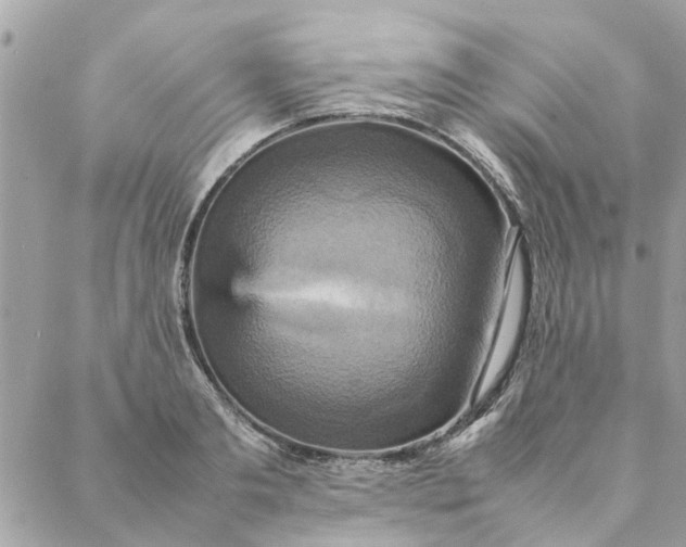 X0000087370893200705041917