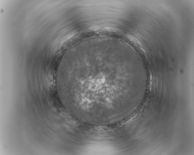 X0000087370966200705041916