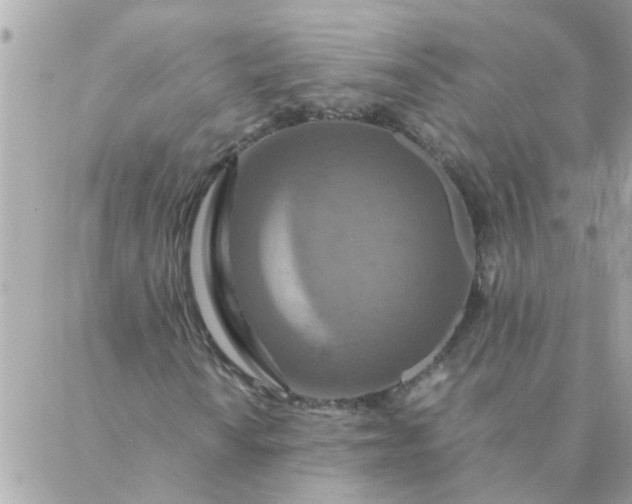 X0000087371010200705041915
