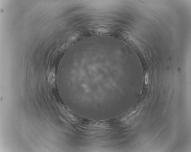 X0000087371011200705041915