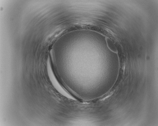 X0000087371014200705041915