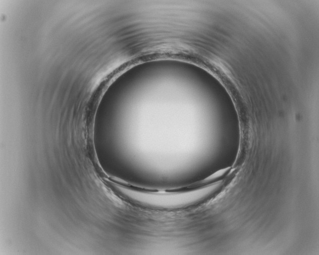 X0000087371018200705041915