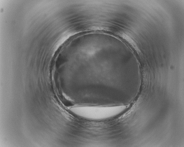 X0000087371023200705041915
