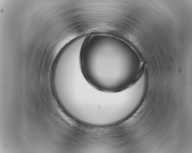 X0000087371026200705041915