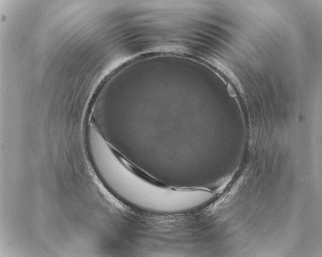 X0000087371037200705041915