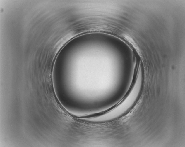 X0000087371089200705041914