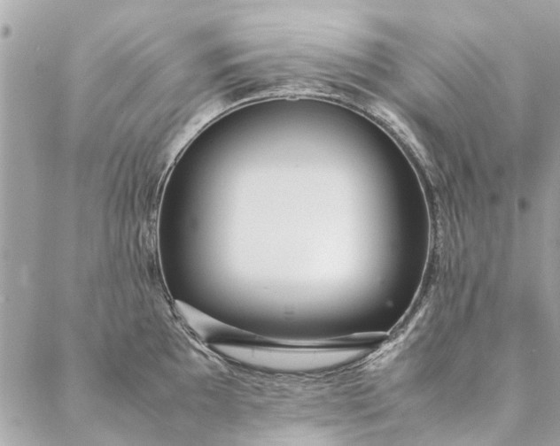 X0000087371097200705041914