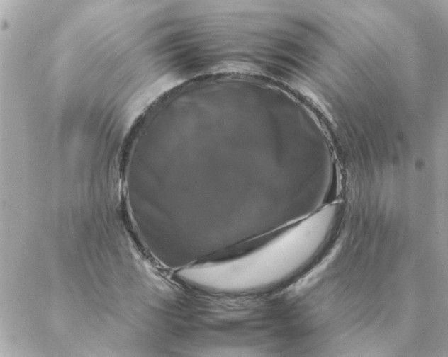 X0000087371117200705041913