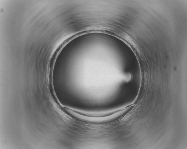 X0000087371124200705041913