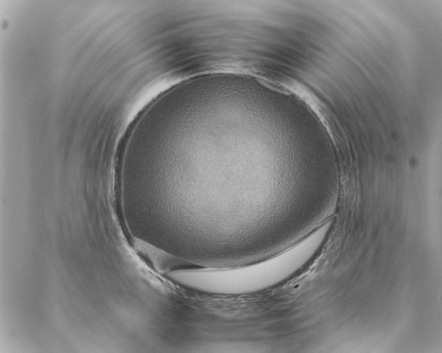 X0000087371147200705041914
