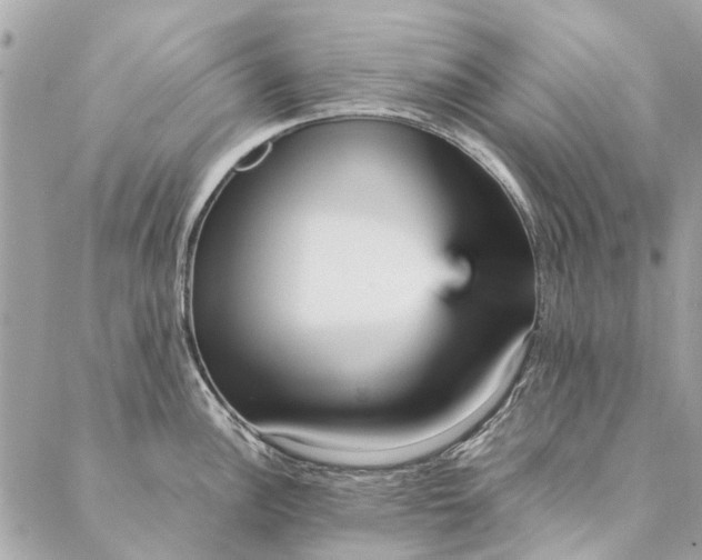 X0000087371148200705041914