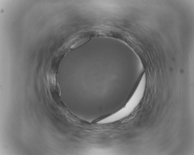 X0000087371155200705041913