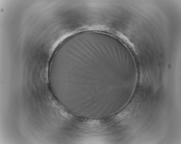 X0000087371174200705041913