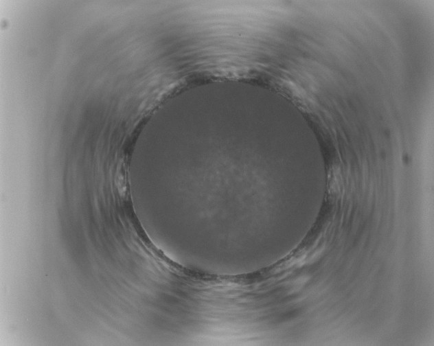 X0000087371202200705041911