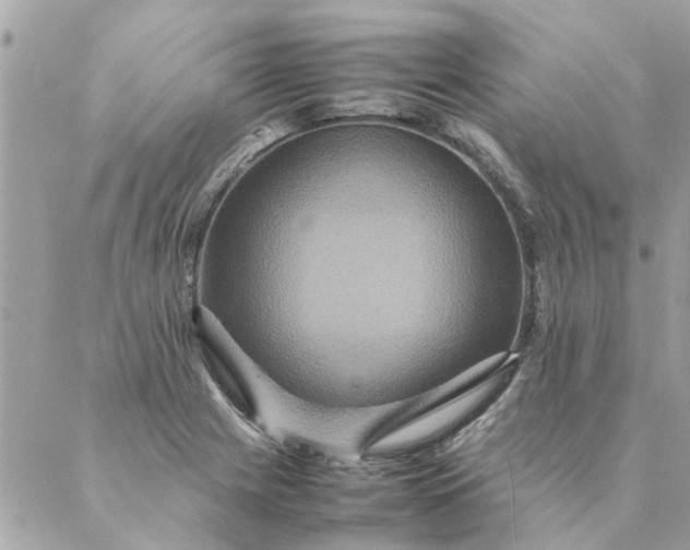 X0000087371225200705041912