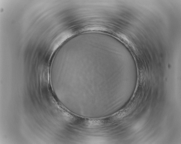X0000087371274200705041911