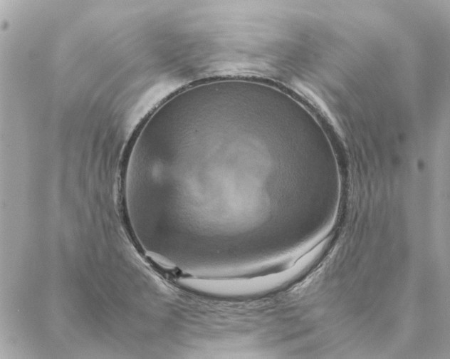 X0000087371277200705041911