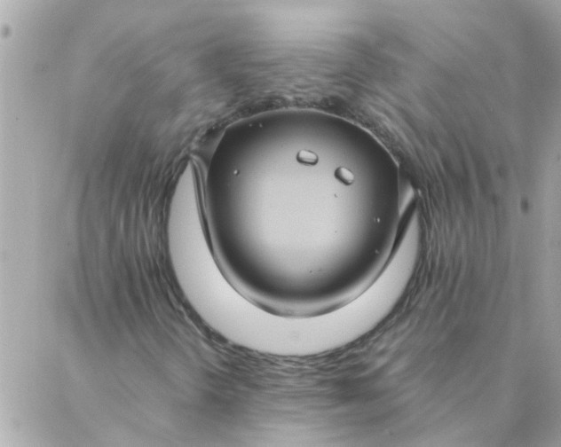 X0000087371298200705041910
