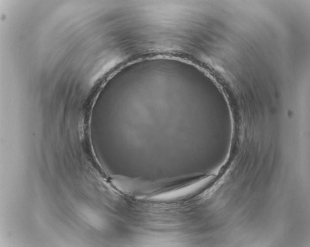 X0000087371306200705041910