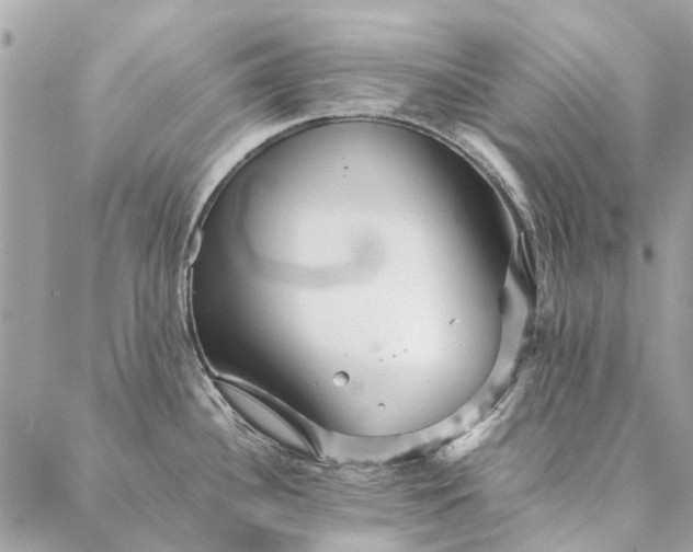 X0000087371340200705041911