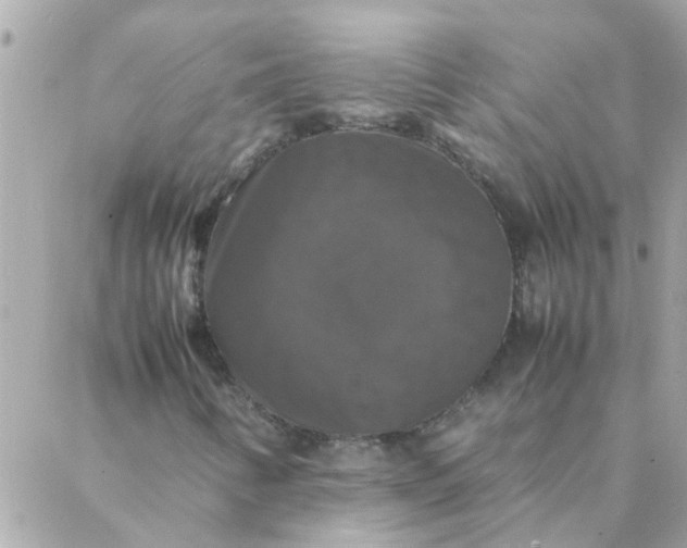 X0000087371346200705041910