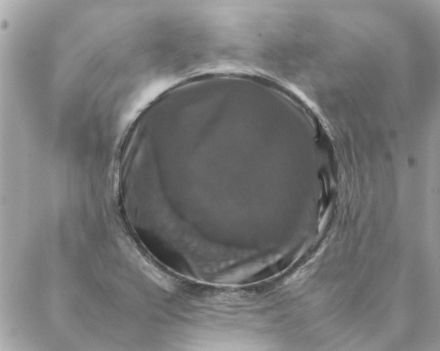 X0000087371367200705041909