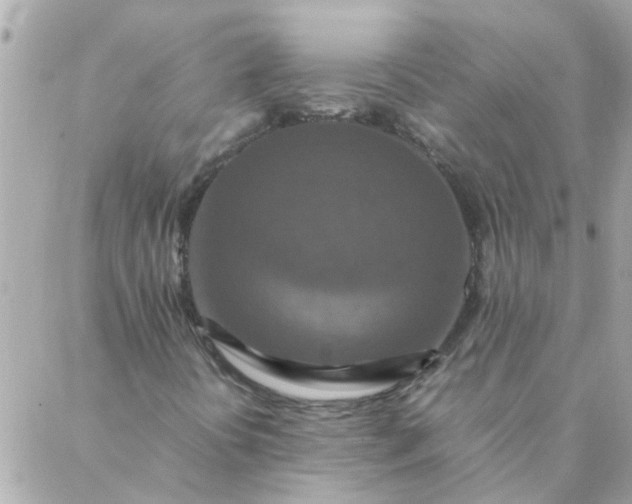 X0000087371394200705041908