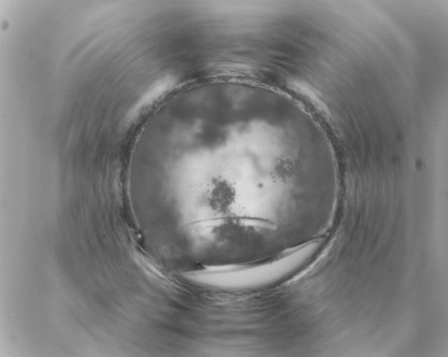 X0000087371403200705041908
