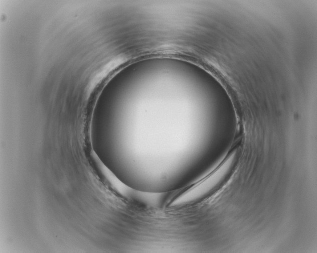 X0000087371410200705041909